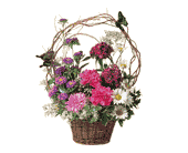 Touch of Butterflies, picture