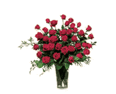 Three Dozen Red Roses, picture