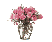 Pink Birthday Roses, picture