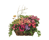 Deluxe European Garden Basket, picture
