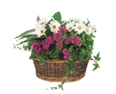 Traditional European Garden Basket, picture