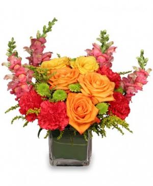 DYNAMIC COLORS Bouquet