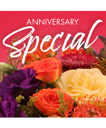 Anniversary Special Designer's Choice in Angier, NC | JJ's Flowers
