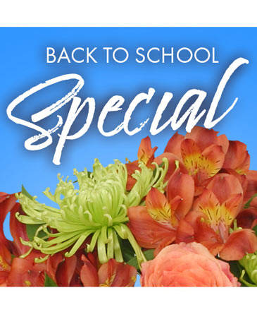 Back to School Special Designer's Choice in Angier, NC | JJ's Flowers