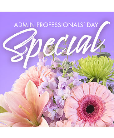 Beautiful Admin Special Designer's Choice in Angier, NC | JJ's Flowers