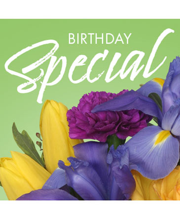 Birthday Special Designer's Choice in Angier, NC | JJ's Flowers