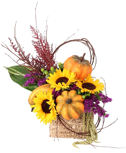 Blooming Pumpkin Patch Floral Design