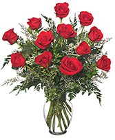 Classic Dozen Roses Red Rose Arrangement
