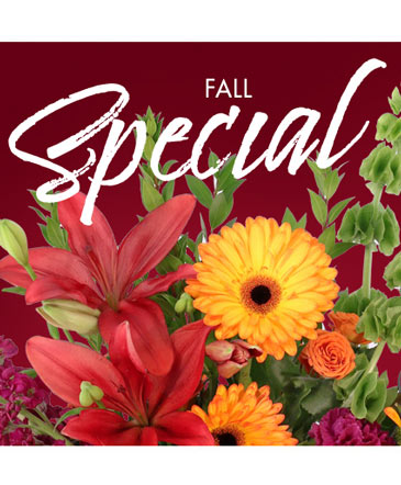 Fall Special Designer's Choice in Angier, NC | JJ's Flowers