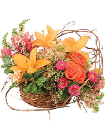 Free Spirit Garden Basket Arrangement in Angier, NC | JJ's Flowers