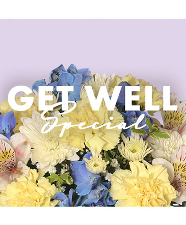 Get Well Special Designer's Choice in Angier, NC | JJ's Flowers