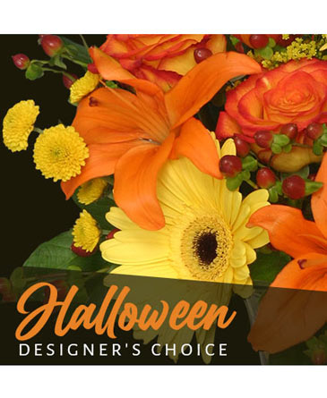 Halloween Designer's Choice in Angier, NC | JJ's Flowers