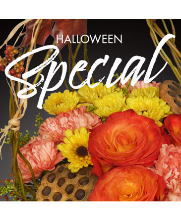 Halloween Special Designer's Choice in Angier, NC | JJ's Flowers