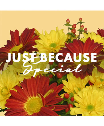 Just Because Special Designer's Choice in Angier, NC | JJ's Flowers