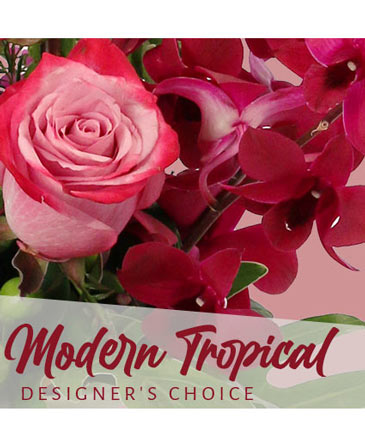 Modern Tropical Beauty Designer's Choice in Raleigh, NC | JJ's Flowers