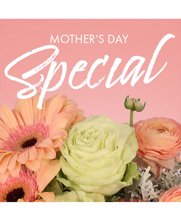 Mother's Day Special Designer's Choice in Angier, NC | JJ's Flowers