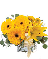 Petite Yellow Flower Arrangement