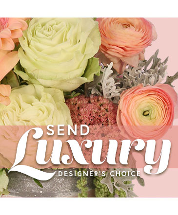 Send Luxury Designer's Choice in Angier, NC | JJ's Flowers