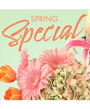 Special of Spring Florals Designer's Choice in Angier, NC | JJ's Flowers