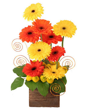 Sunup Gerberas Flower Arrangement