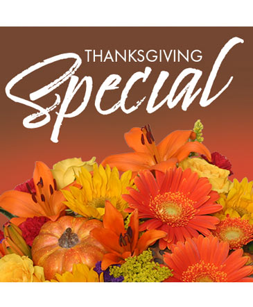 Thanksgiving Special Designer's Choice in Angier, NC | JJ's Flowers