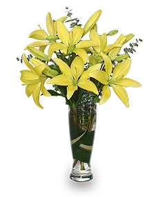 RISE & SHINE LILIES Arrangement