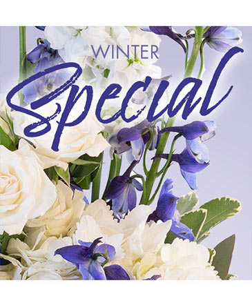 Winter Favorite Designer's Choice in Angier, NC | JJ's Flowers